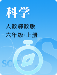 小学六年级上科学(人教鄂教版)